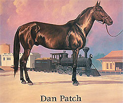 Dan Patch